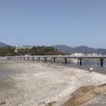竹島橋（竹島から）